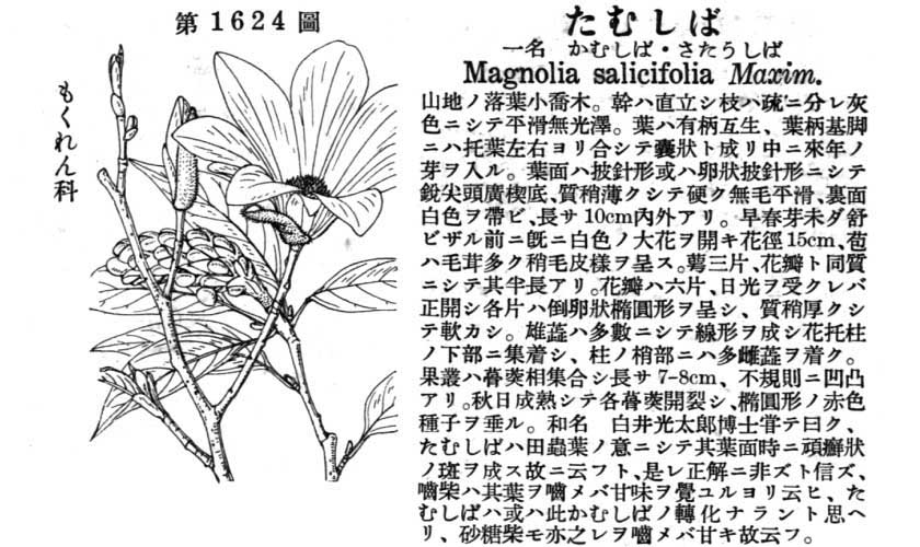 植物図鑑