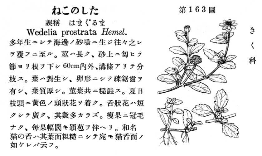 植物図鑑
