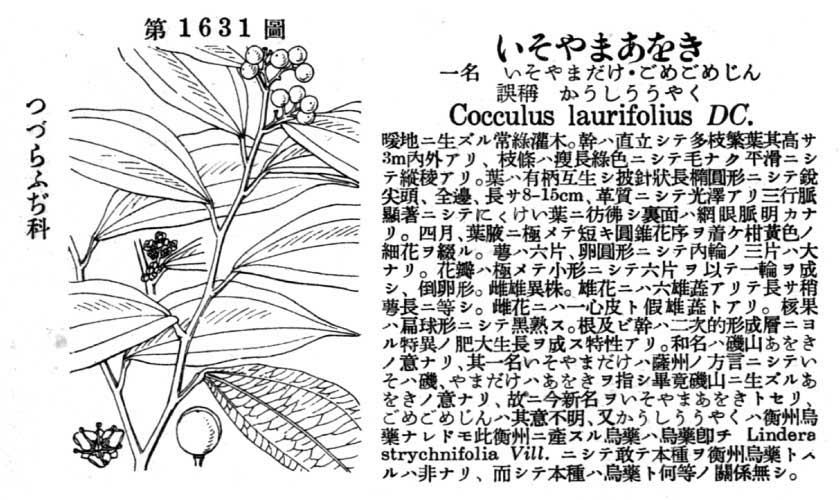 植物図鑑