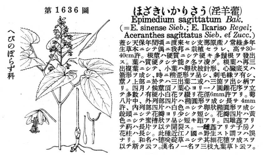 植物図鑑