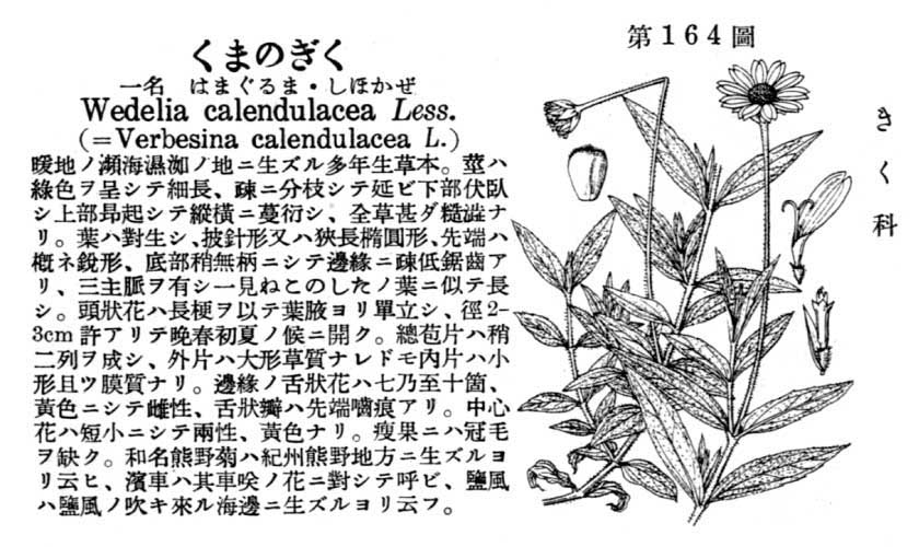 植物図鑑