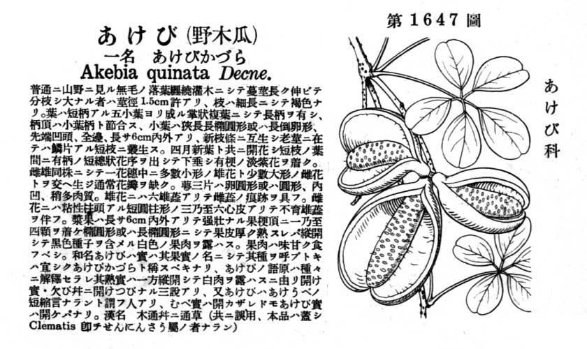 植物図鑑