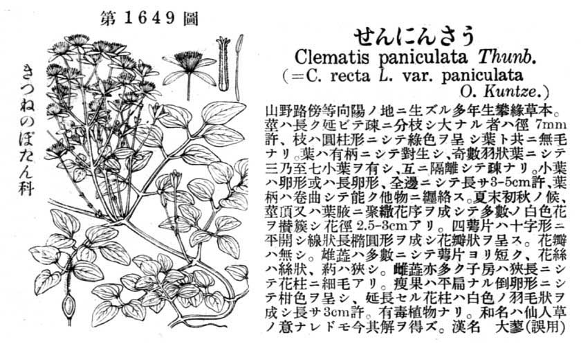 植物図鑑