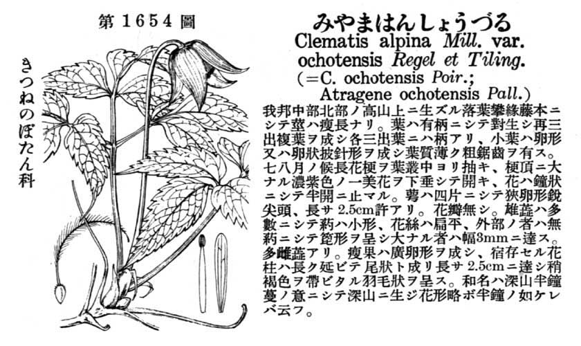 植物図鑑