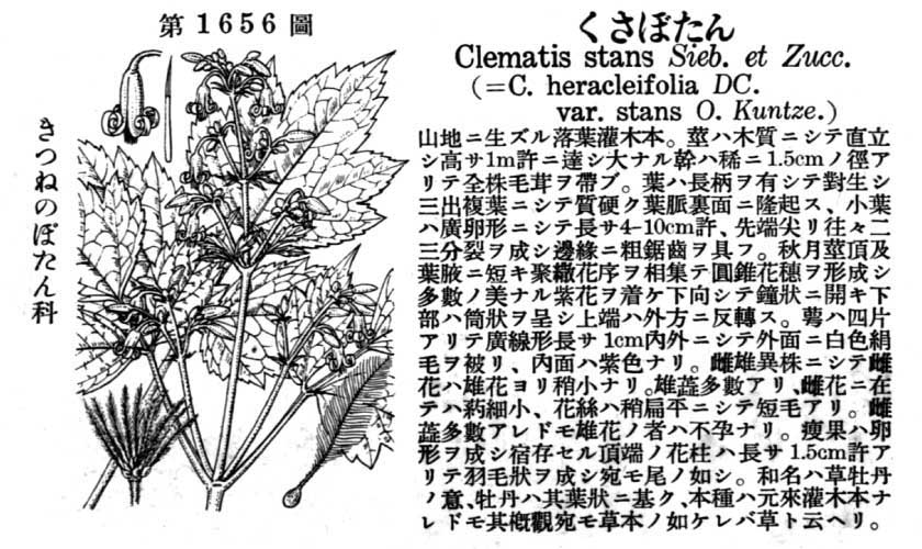 植物図鑑