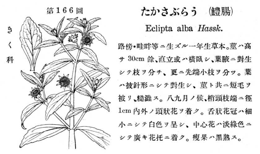 植物図鑑