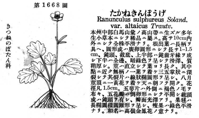 植物図鑑