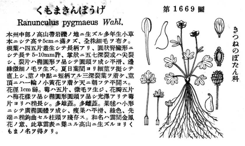 植物図鑑