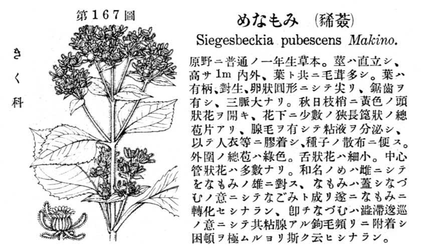 植物図鑑