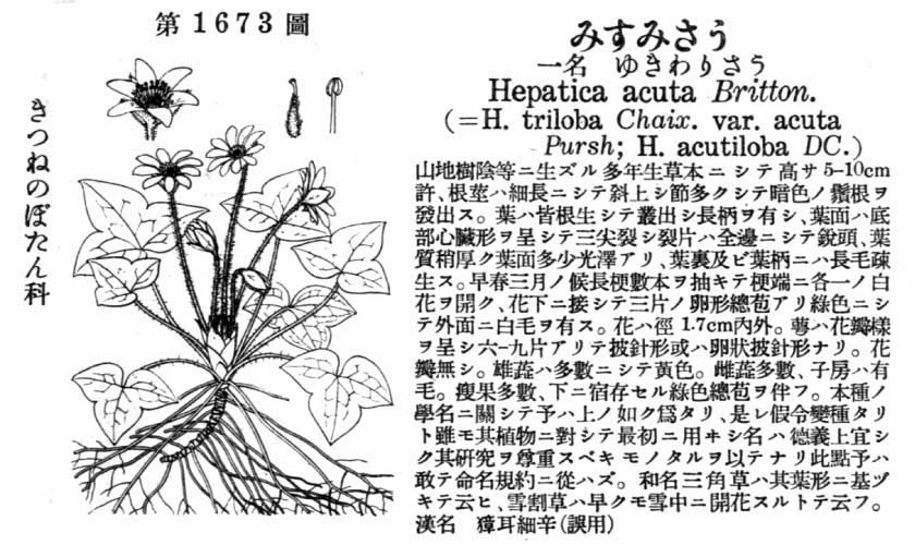 植物図鑑