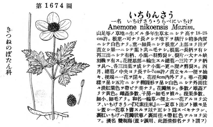 植物図鑑