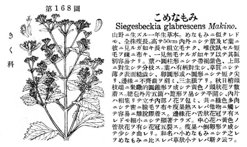 植物図鑑
