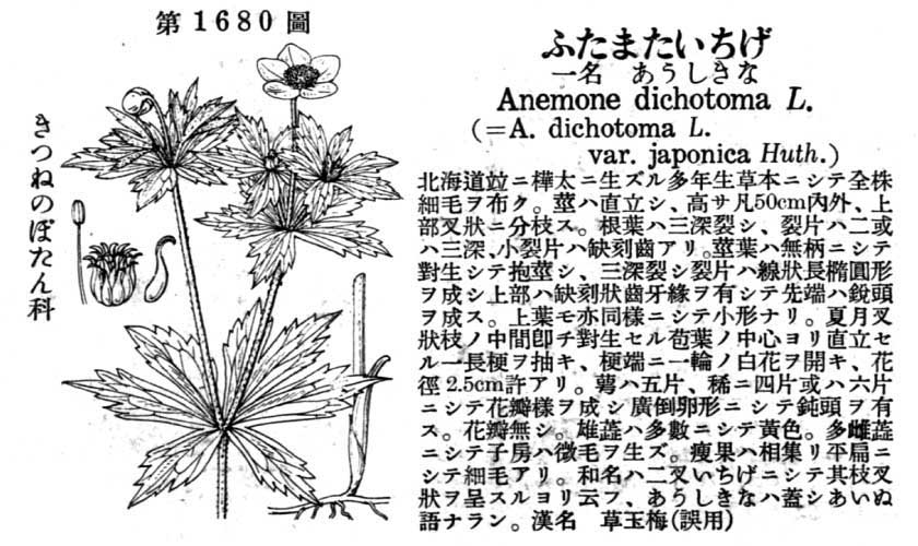 植物図鑑