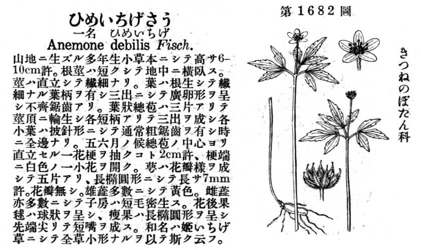 植物図鑑