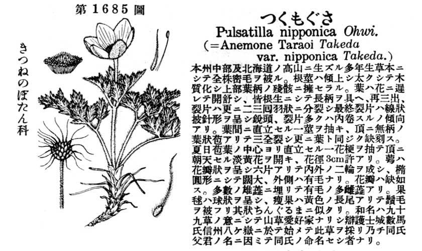 植物図鑑