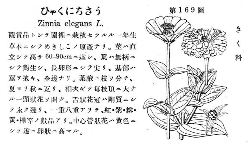 植物図鑑