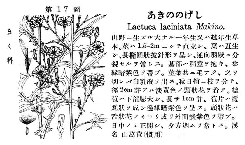 植物図鑑