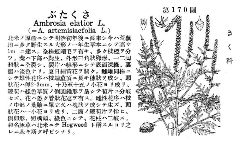 植物図鑑