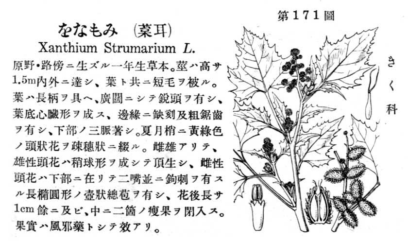 植物図鑑