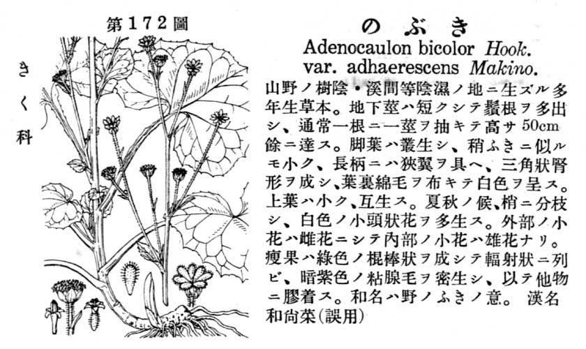 植物図鑑