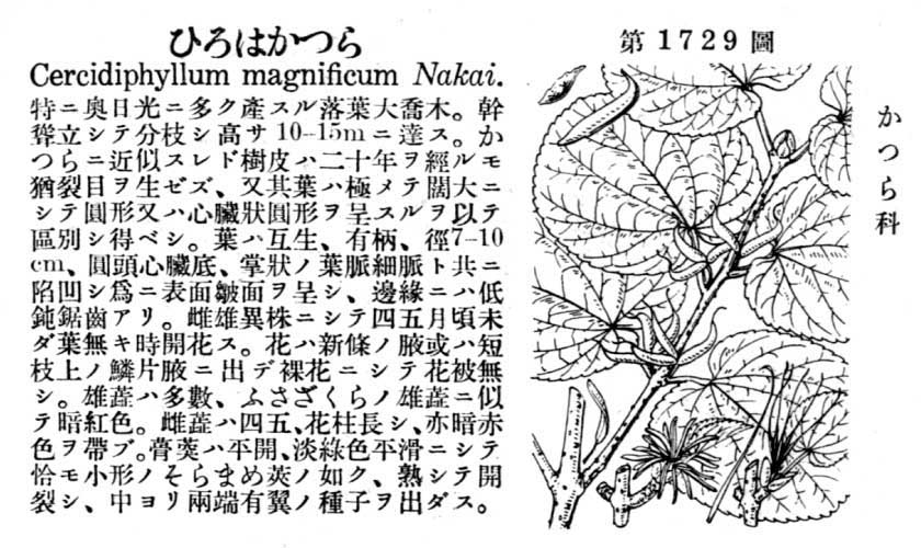 植物図鑑