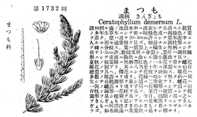 植物図鑑