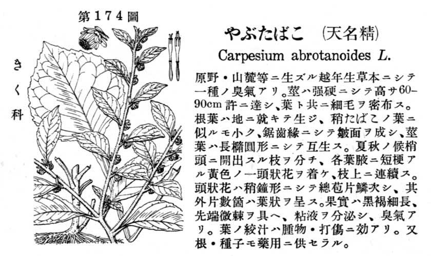 植物図鑑