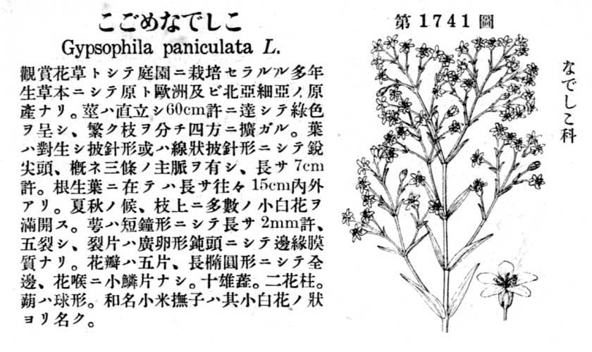 植物図鑑