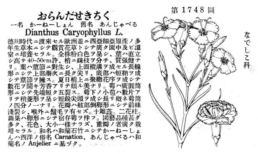 植物図鑑