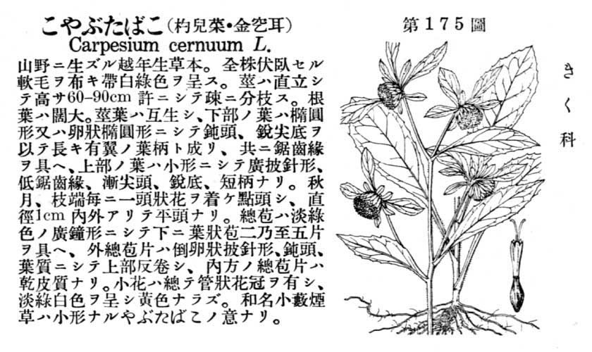 植物図鑑