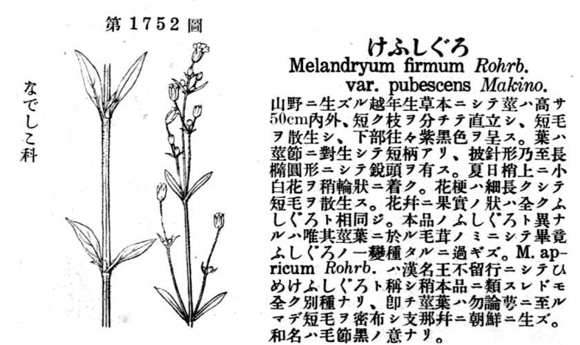 植物図鑑