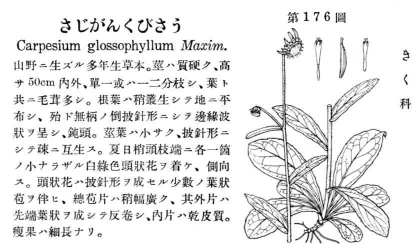 植物図鑑