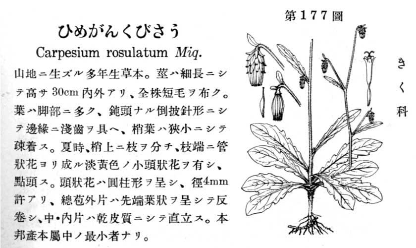 植物図鑑