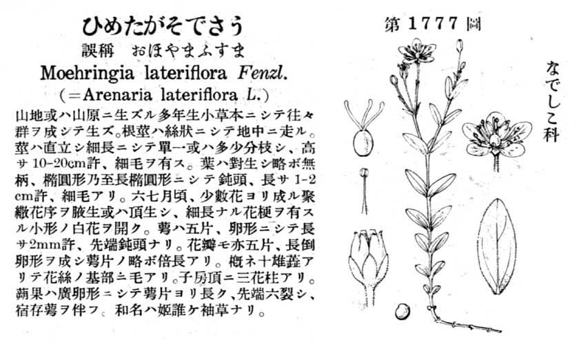 植物図鑑