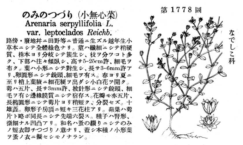 植物図鑑