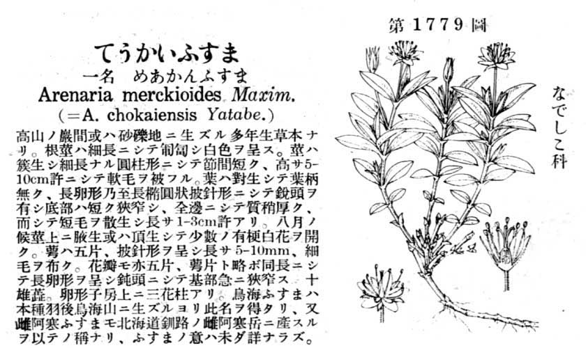 植物図鑑