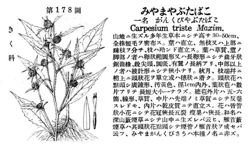 植物図鑑