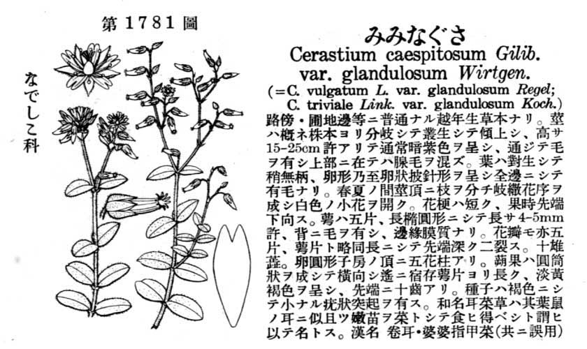 植物図鑑