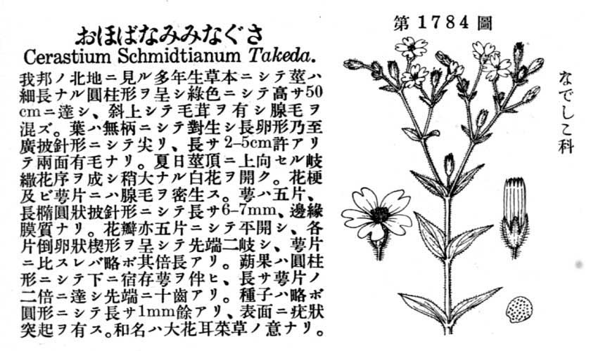 植物図鑑