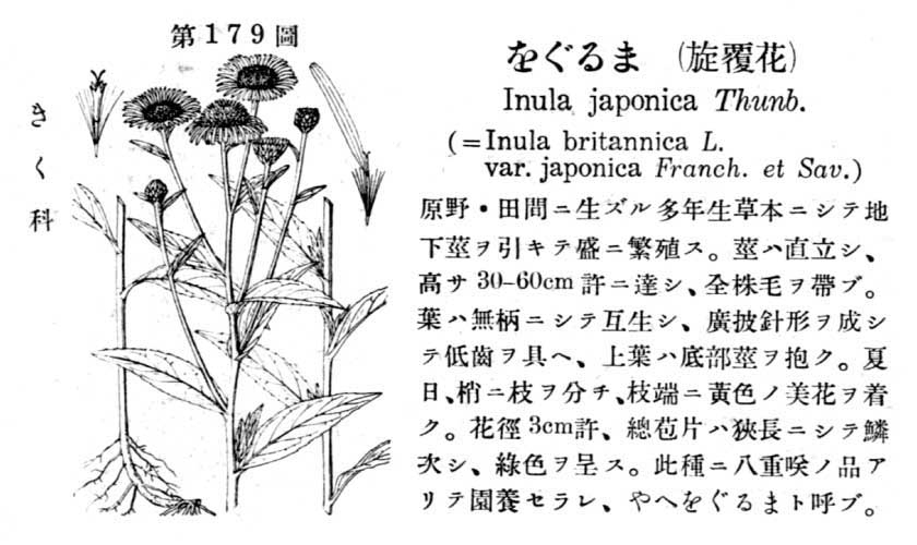 植物図鑑