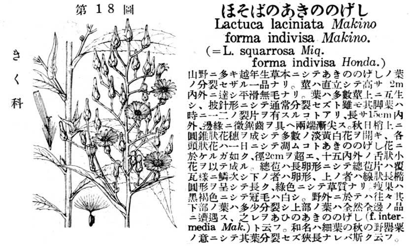 植物図鑑