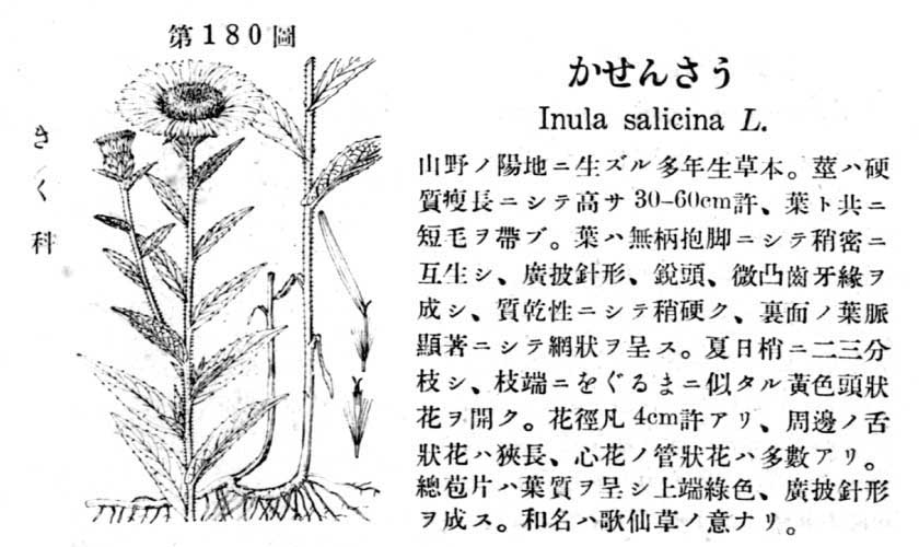 植物図鑑