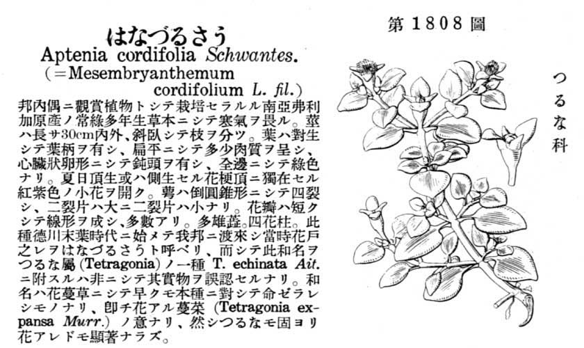 植物図鑑