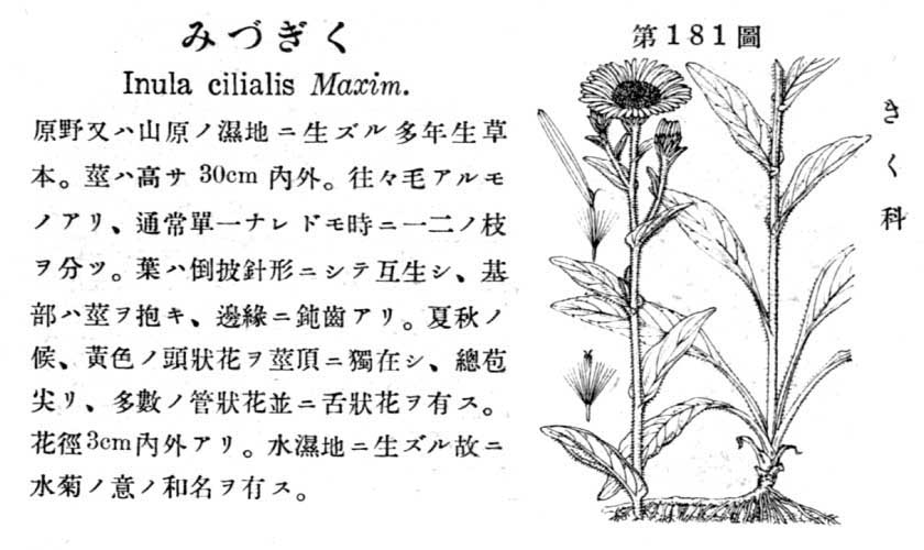 植物図鑑