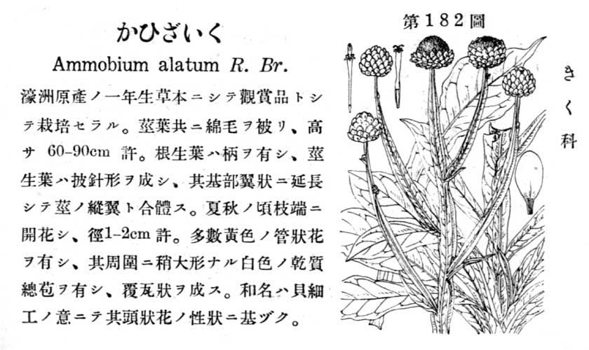 植物図鑑
