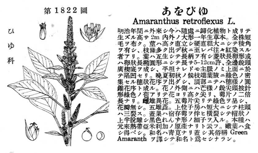 植物図鑑