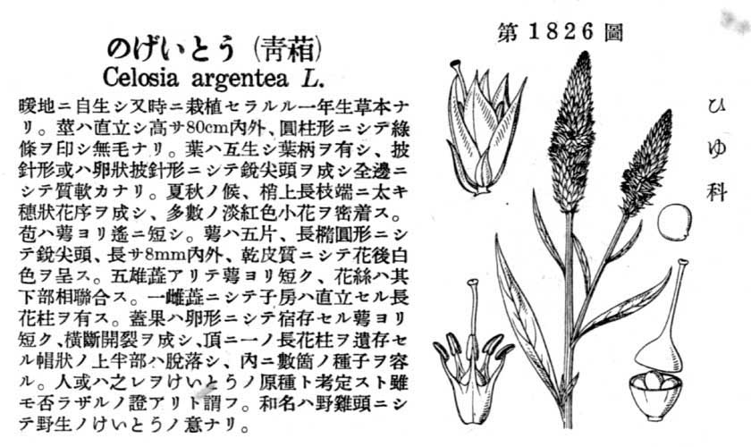 植物図鑑