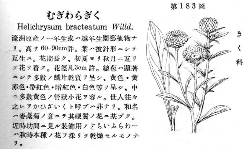 植物図鑑