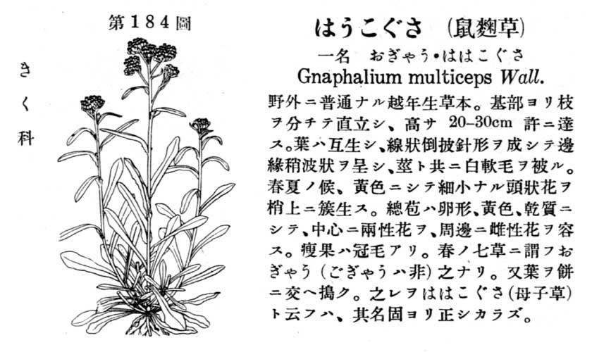 植物図鑑