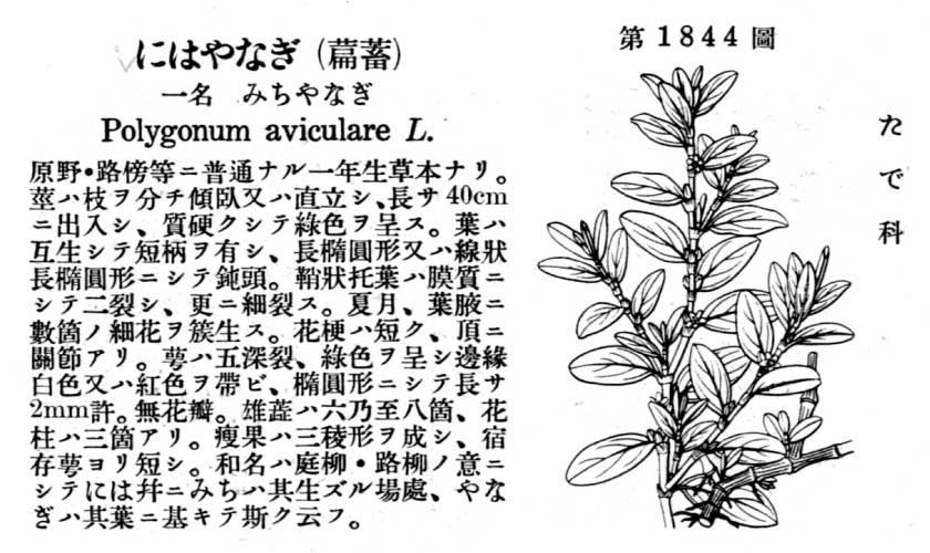 植物図鑑